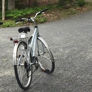 Marin Bikes Blue and Silver, gray or bare metal