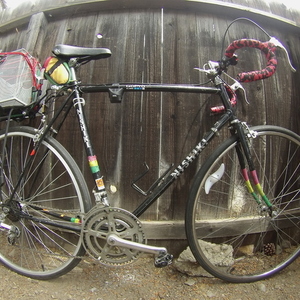 1985 Nishiki Rally Black