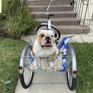 2020 Schwinn Meridian tricycle White