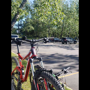 2014 Giant Trance 27.5 1 Red