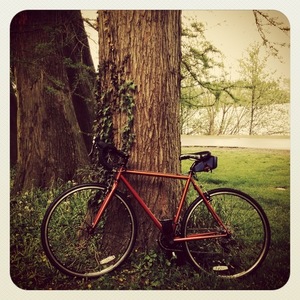 2014 Nashbar NB-SXI-53 Red