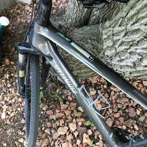 2018 Specialized Womans Black, Silver, gray or bare metal, and Teal