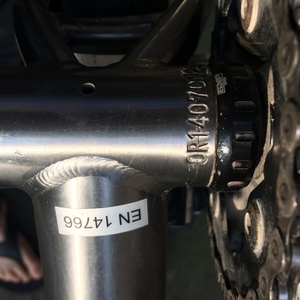 2015 Salsa Fargo Silver, gray or bare metal and Black