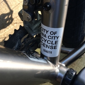 2015 Salsa Fargo Silver, gray or bare metal and Black