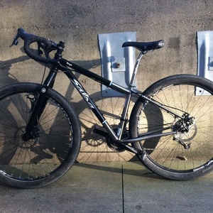 2015 Salsa Fargo Silver, gray or bare metal and Black