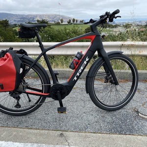 2020 Trek Allant+ 9.9S