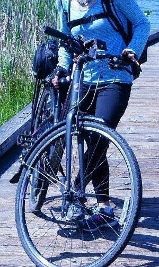 Stolen 2013 Giant Liv Escape W 3 ALUXX