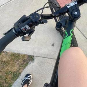 2015 Giant Black and Green