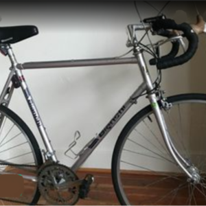 Bianchi Sport Purple and Silver, gray or bare metal