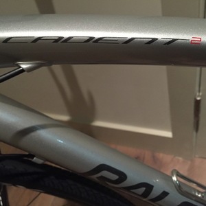 2015 Raleigh Cadent 2 Silver, gray or bare metal