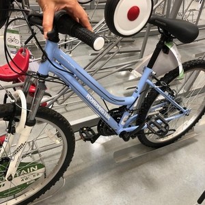 2020 Roadmaster Purple
