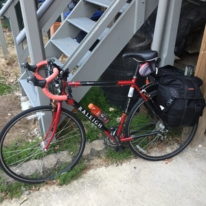 2008 Raleigh Sport Black and Red