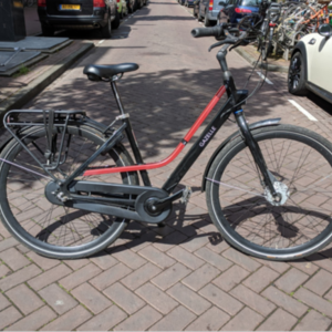 Gazelle Black and Red