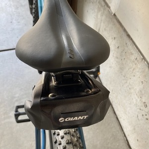 2020 Giant Tempt 3 Teal and Blue