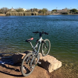 2015 Schwinn Not aure Silver or Gray