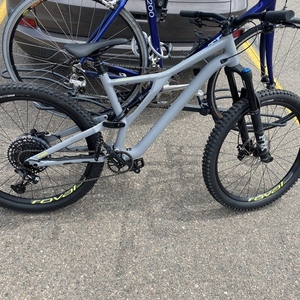 2020 Specialized Stumpjumper Silver, gray or bare metal