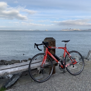 2010 BMC SLC 01 Pro Machine Red