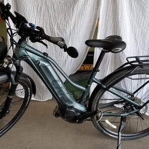 2020 Giant Step Through Green