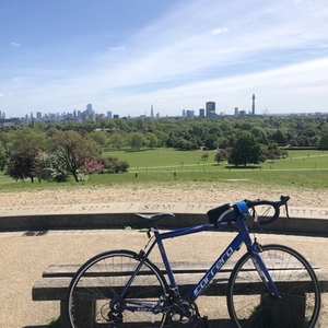2019 Carrera bicycles Zelos Blue