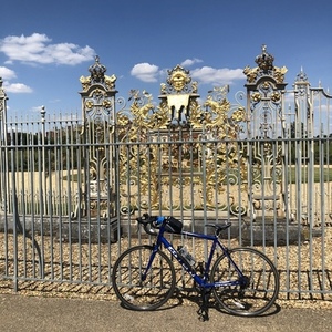 2019 Carrera bicycles Zelos Blue