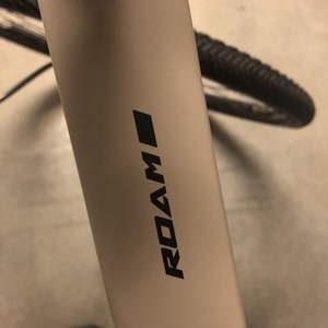 2020 GIANT BICYCLE CANADA Giant Roam 4 Disc Bike Large Tan Black