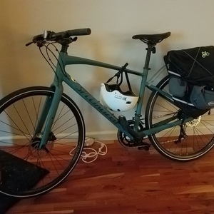 2020 Specialized Sirrus 3.0 Green