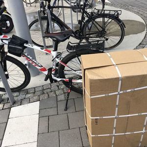 2019 Giant White