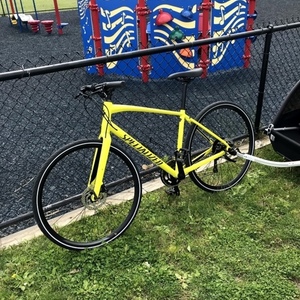 2017 Specialized Yellow or Gold
