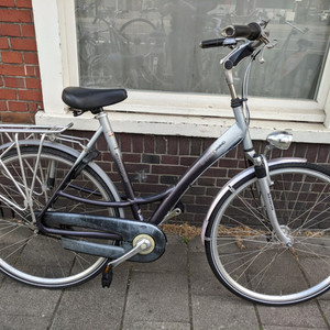 Batavus Staccato Silver, gray or bare metal