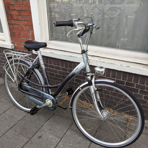 Batavus Staccato Silver, gray or bare metal