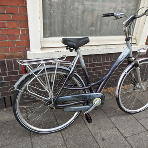 Batavus Staccato Silver, gray or bare metal