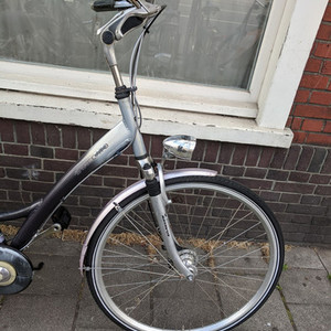 Batavus Staccato Silver, gray or bare metal