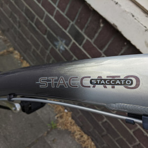 Batavus Staccato Silver, gray or bare metal