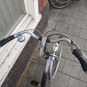 Batavus Staccato Silver, gray or bare metal