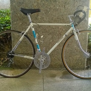 1973 Raleigh Gran Sport White and Blue