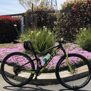 2019 SCOTT SPARK RC 900 WORLD CUP Black and Yellow or Gold