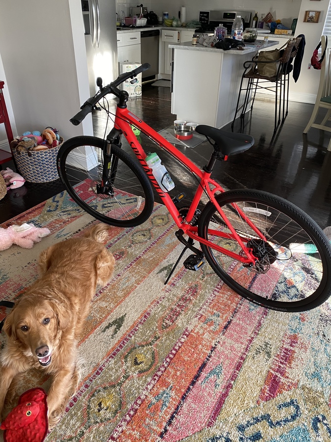 Bike photo