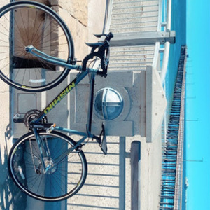2019 Nishiki 50 CM Black