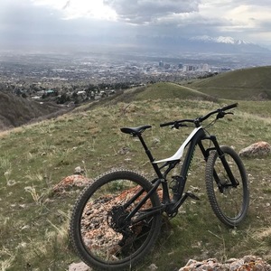 2017 Specialized Stumpjumper FSR COMP CARBON Black