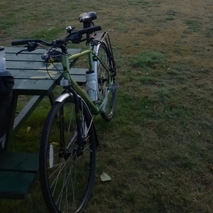 2009 Kona Dew Plus Green