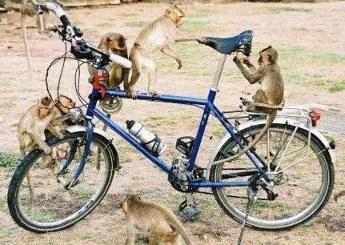Bike photo