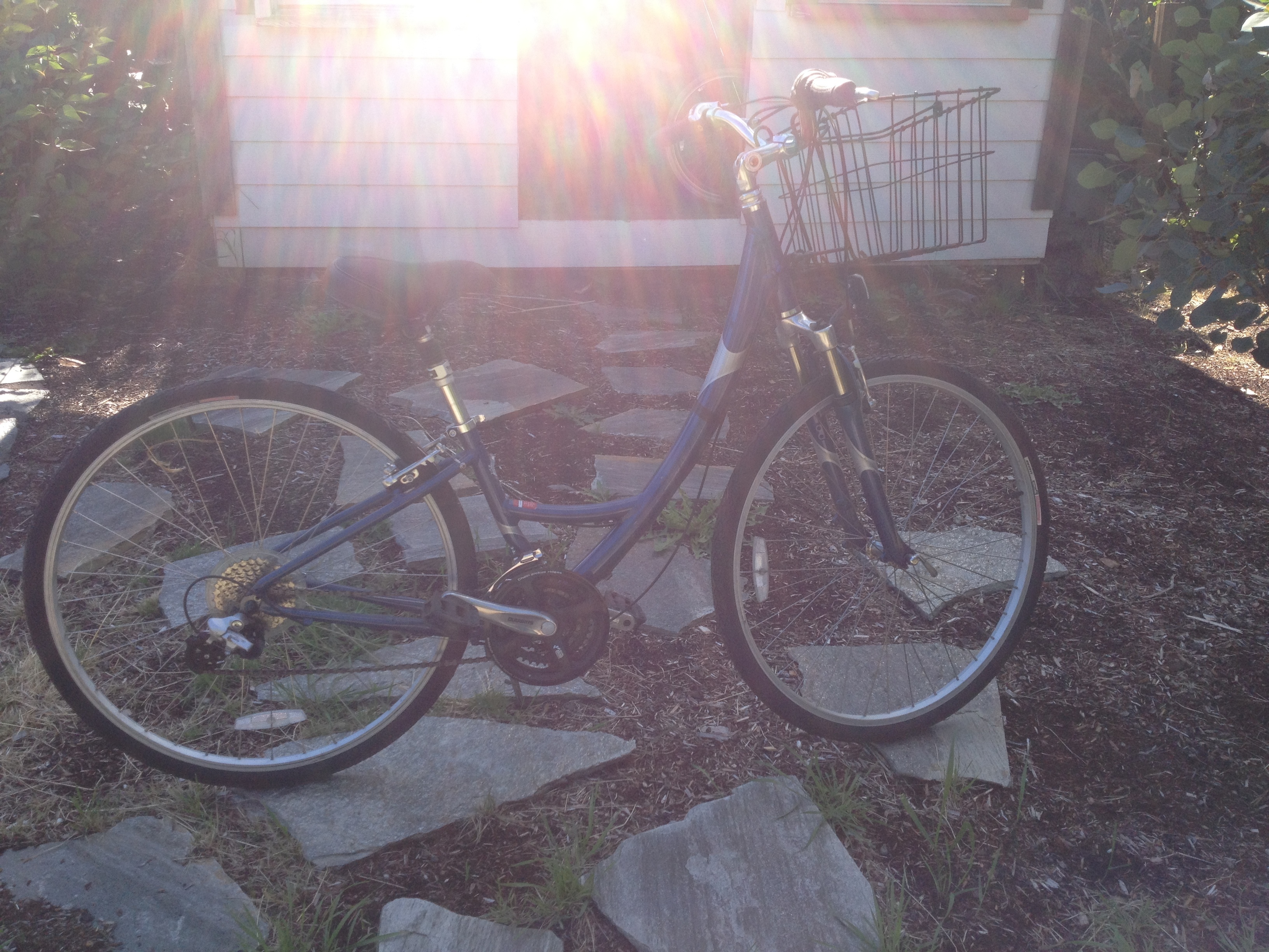 specialized crossroads women's bike