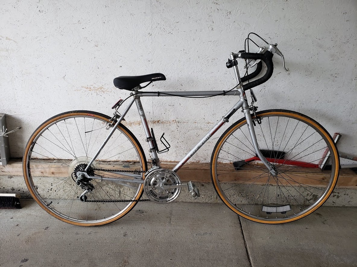 free spirit 10 speed