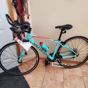 2017 Specialized Dolce Teal