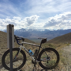2015 Trek Domane 56cm 5-Series Frameset White