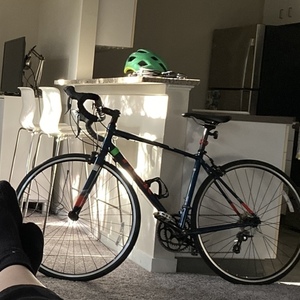 2017 Trek Lexa 2 Blue and Orange