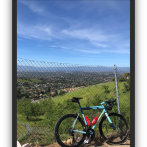 2017 Vanilla speedvagen road Blue and Yellow or Gold