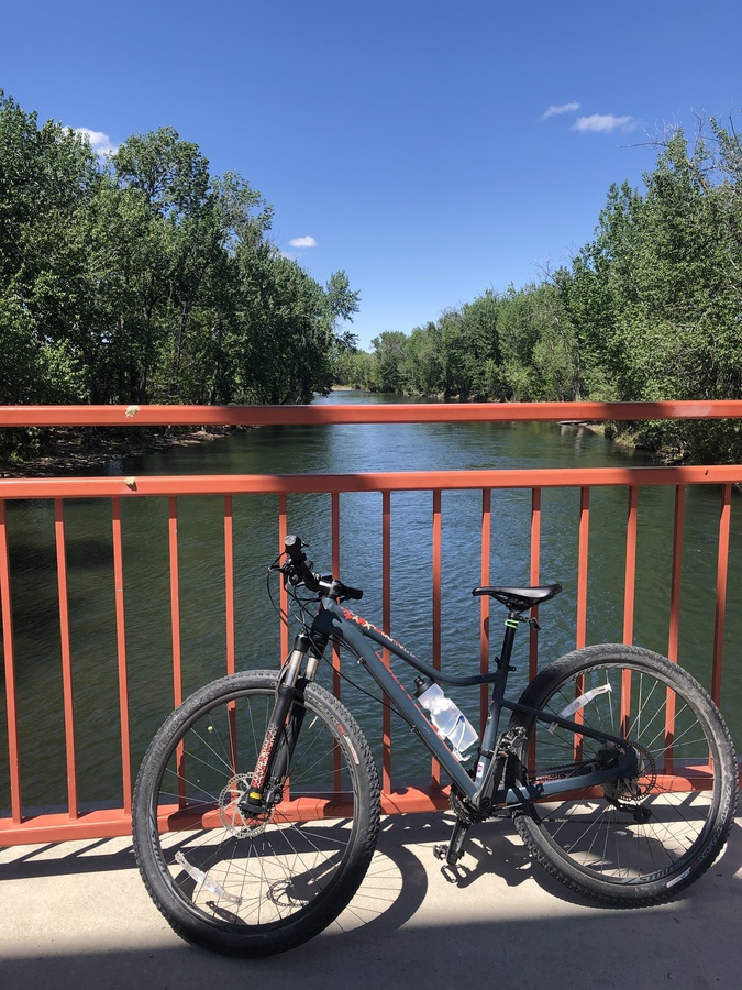 specialized jynx 2016