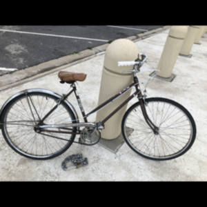 1975 I don’t know Cruiser Brown