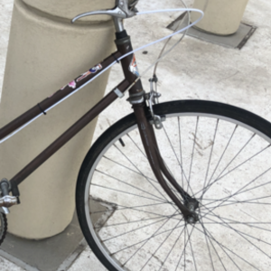 1975 I don’t know Cruiser Brown